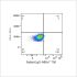 ABflo® 700 Rabbit anti-Human CD140b/PDGFRβ mAb (100 T)