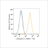 ABflo® 700 Rabbit anti-Human CD85j/ILT2 mAb (100 T)