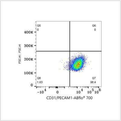 ABflo® 700 Rabbit anti-Human CD31/PECAM1 mAb (100 T)