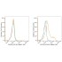 ABflo® 647 Mouse IgG 2c Isotype Control (100 T)