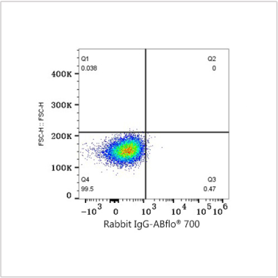 ABflo® 700 Rabbit anti-Human CD97 mAb (100 T)