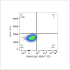 ABflo® 700 Rabbit anti-Human CD97 mAb (100 T)