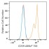ABflo® 700 Rabbit anti-Human CD59 mAb (100 T)