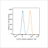 ABflo® 700 Rabbit anti-Human CD271/NGFR mAb (100 T)