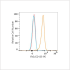PE Rabbit anti-Human Flt3/CD135 mAb (100 T)