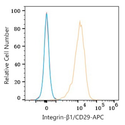 APC Rabbit anti-Human Integrin-β1/CD29 mAb (100 T)