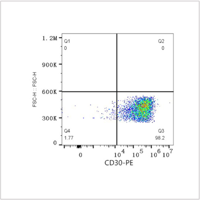 PE Rabbit anti-Human CD30 mAb (100 T)