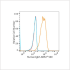 ABflo® 500 Rabbit anti-Human IgM mAb (100 T)
