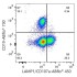 ABflo® 450 Rabbit anti-Human LAMP1/CD107a mAb (100 T)