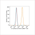 ABflo® 450 Rabbit anti-Human E-Cadherin/CD324 mAb (100 T)