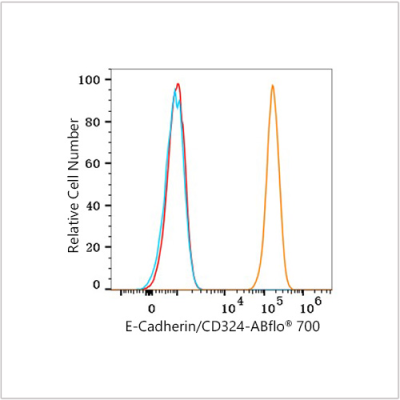 ABflo® 700 Rabbit anti-Human E-Cadherin/CD324 mAb (100 T)
