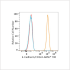 ABflo® 700 Rabbit anti-Human E-Cadherin/CD324 mAb (100 T)