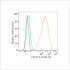 PE Rabbit anti-Human CD171/L1CAM mAb (100 T)