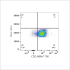 ABflo® 700 Rabbit anti-Mouse CD2 mAb (100 T)