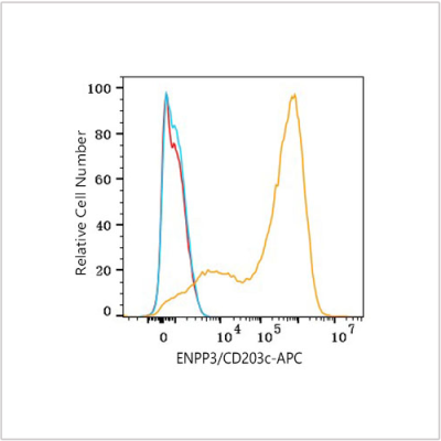 APC Rabbit anti-Human ENPP3/CD203c mAb (100 T)