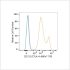 ABflo® 700 Rabbit anti-Human CD152/CTLA-4 mAb (100 T)