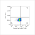 ABflo® 488 Rabbit anti-Human MRC2 mAb (100 T)