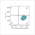 PE Rabbit anti-Human CD141/Thrombomodulin mAb (100 T)