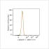 ABflo® 610 Rabbit anti-Human CD80/B7-1 mAb (100 T)