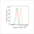 ABflo® 700 Rabbit anti-Human CD80/B7-1 mAb (100 T)