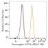 ABflo® 488 Rabbit anti-Human Desmoglein 3/PVA mAb (100 T)