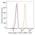ABflo® 647 Rabbit anti-Human Desmoglein 3/PVA mAb (100 T)