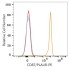 PE Rabbit anti-Human CD87/PLAUR mAb (100 T)