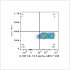 ABflo® 488 Rabbit anti-Human IL18R1/IL-18 R alpha mAb (100 T)