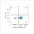 ABflo® 647 Rabbit anti-Mouse CD88/C5aR mAb (100 T)
