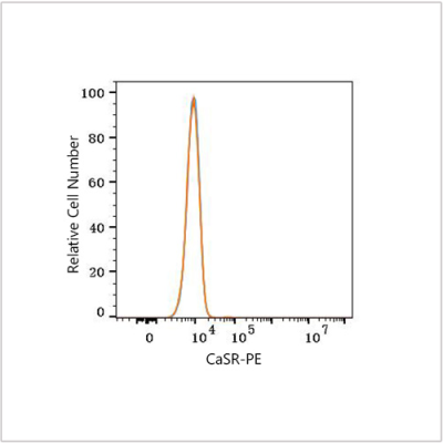 PE Rabbit anti-Human CaSR mAb (100 T)