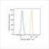 ABflo® 647 Rabbit anti-Human GSK3β mAb (100 T)