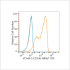 ABflo® 700 Rabbit anti-Human VCAM-1/CD106 mAb (100 T)