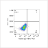 ABflo® 450 Rabbit anti-Human CD22 mAb (100 T)