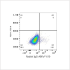 ABflo® 610 Rabbit anti-Human CD22 mAb (100 T)