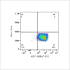 ABflo® 610 Rabbit anti-Human Ki67 mAb (100 T)