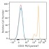 PE/Cyanine7 Rabbit anti-Human CD33 mAb (100 T)