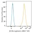 ABflo® 450 Rabbit anti-Human β2 Microglobulin mAb (100 T)