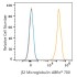 ABflo® 700 Rabbit anti-Human β2 Microglobulin mAb (100 T)