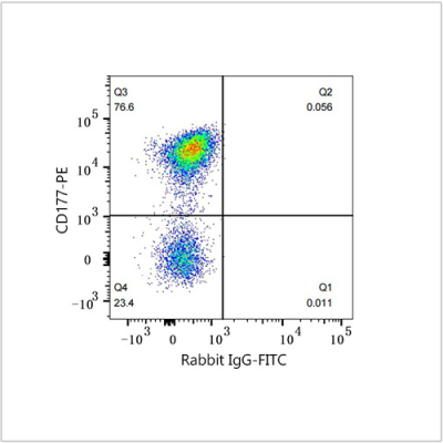 FITC Rabbit anti-Human CD10 mAb (100 T)