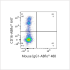 ABflo® 488 Mouse anti-Human CD56 mAb (100 T)