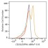 ABflo® 610 Rabbit anti-Human CD26/DPP4 mAb (100 T)