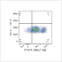ABflo® 488 Rabbit anti-Human PTH1R mAb (100 T)