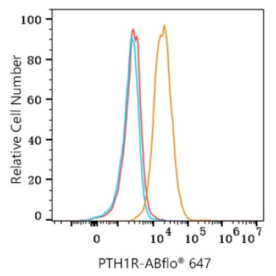 ABflo® 647 Rabbit anti-Human PTH1R mAb (100 T)