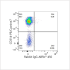ABflo® 450 Rabbit anti-Human CD2 mAb (100 T)