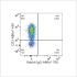 ABflo® 700 Rabbit anti-Human CD2 mAb (100 T)