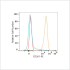 PE Rabbit anti-Human CD361 mAb (100 T)