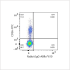 ABflo® 610 Rabbit anti-Human CD335/NKp46 mAb (100 T)