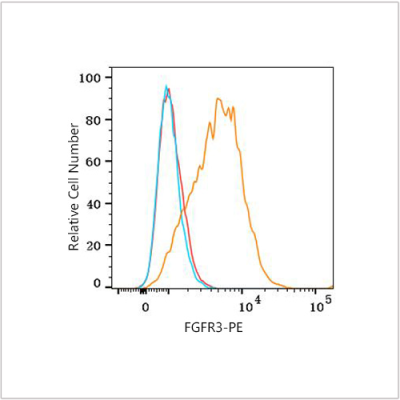 PE Rabbit anti-Human FGFR3 mAb (100 T)