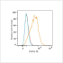 PE Rabbit anti-Human FGFR3 mAb (100 T)