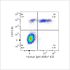 ABflo® 450 Rabbit anti-Human IgM mAb (100 T)